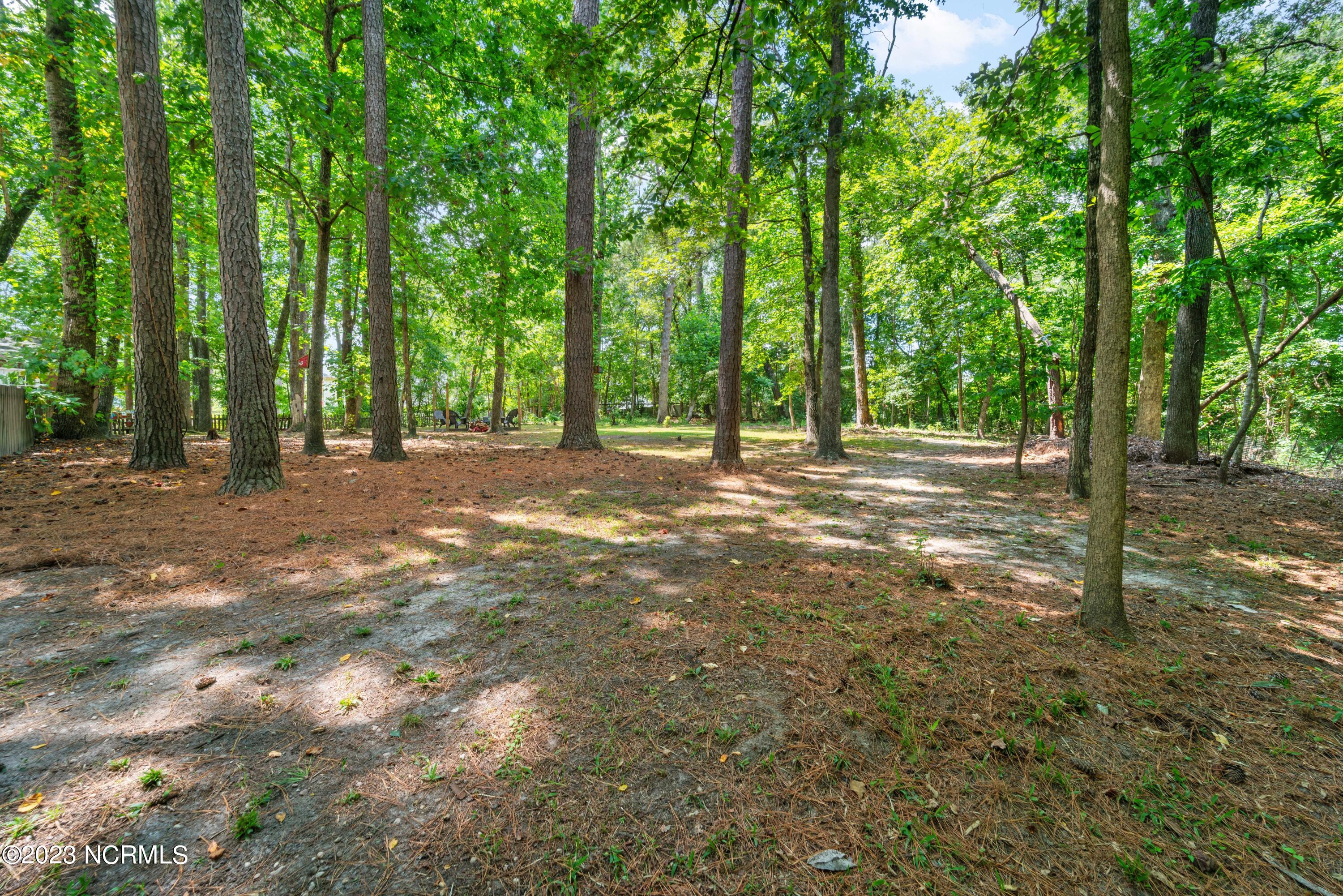 101 Riverbend Road Jacksonville, NC 28540 - Photo 59 of 70 DSC04893