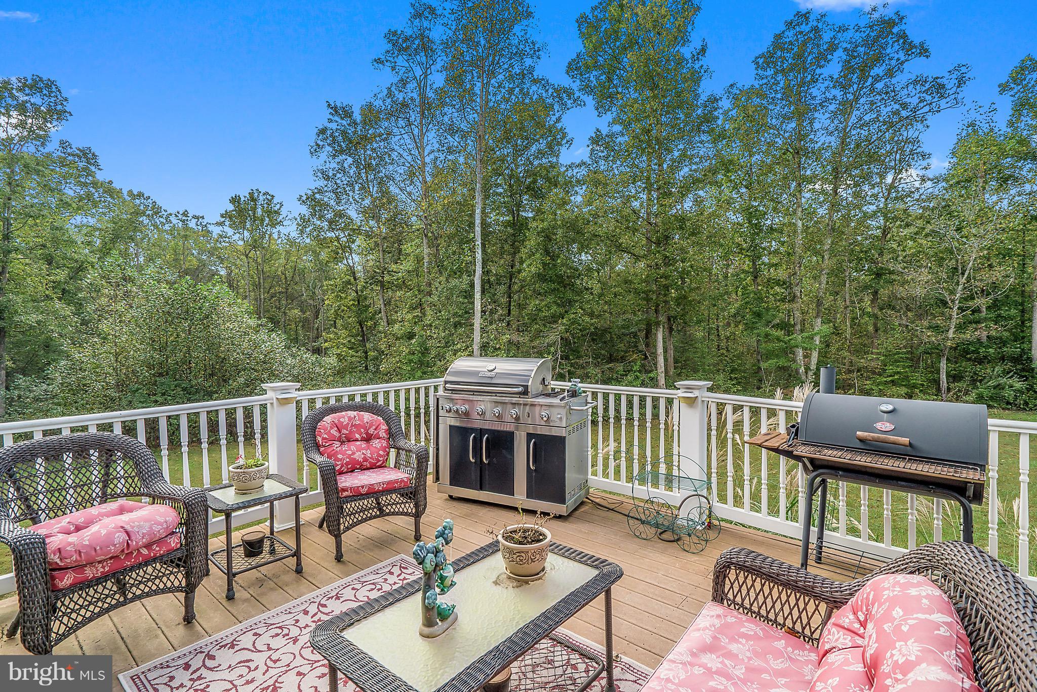 11178 Spring Hollow Lane Rixeyville, VA 22737 - Photo 11 of 30 Rear deck