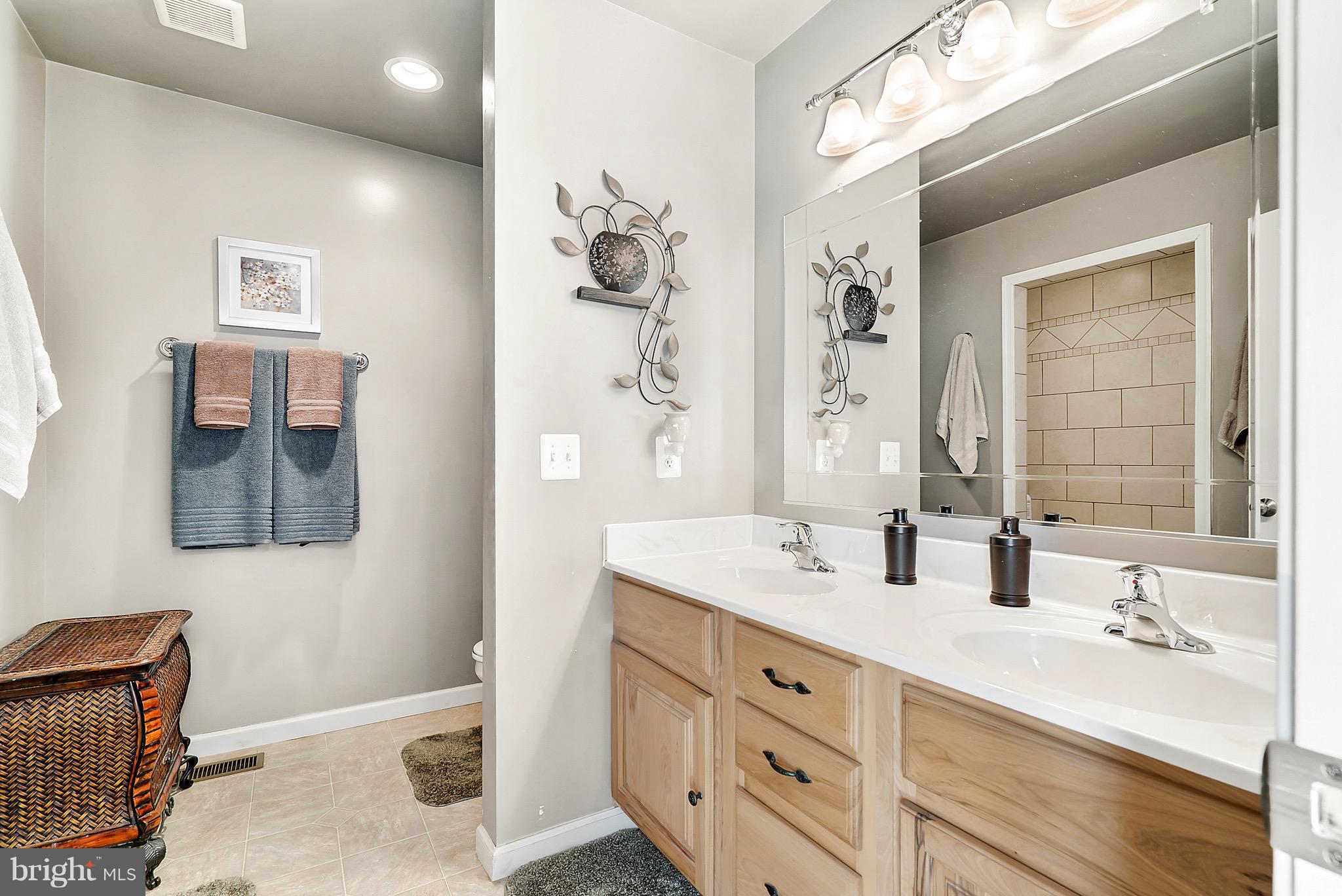 11178 Spring Hollow Lane Rixeyville, VA 22737 - Photo 20 of 30 Bath (Master)