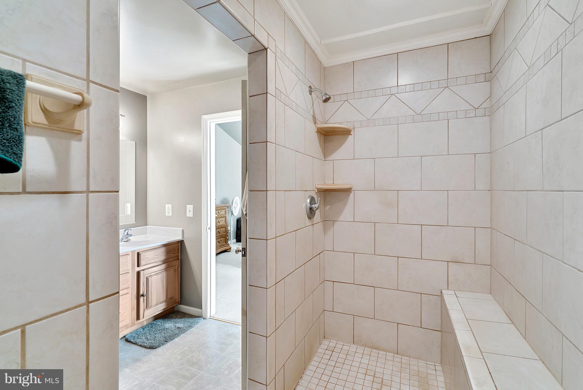 11178 Spring Hollow Lane Rixeyville, VA 22737 - Photo 21 of 30 Walk-in shower