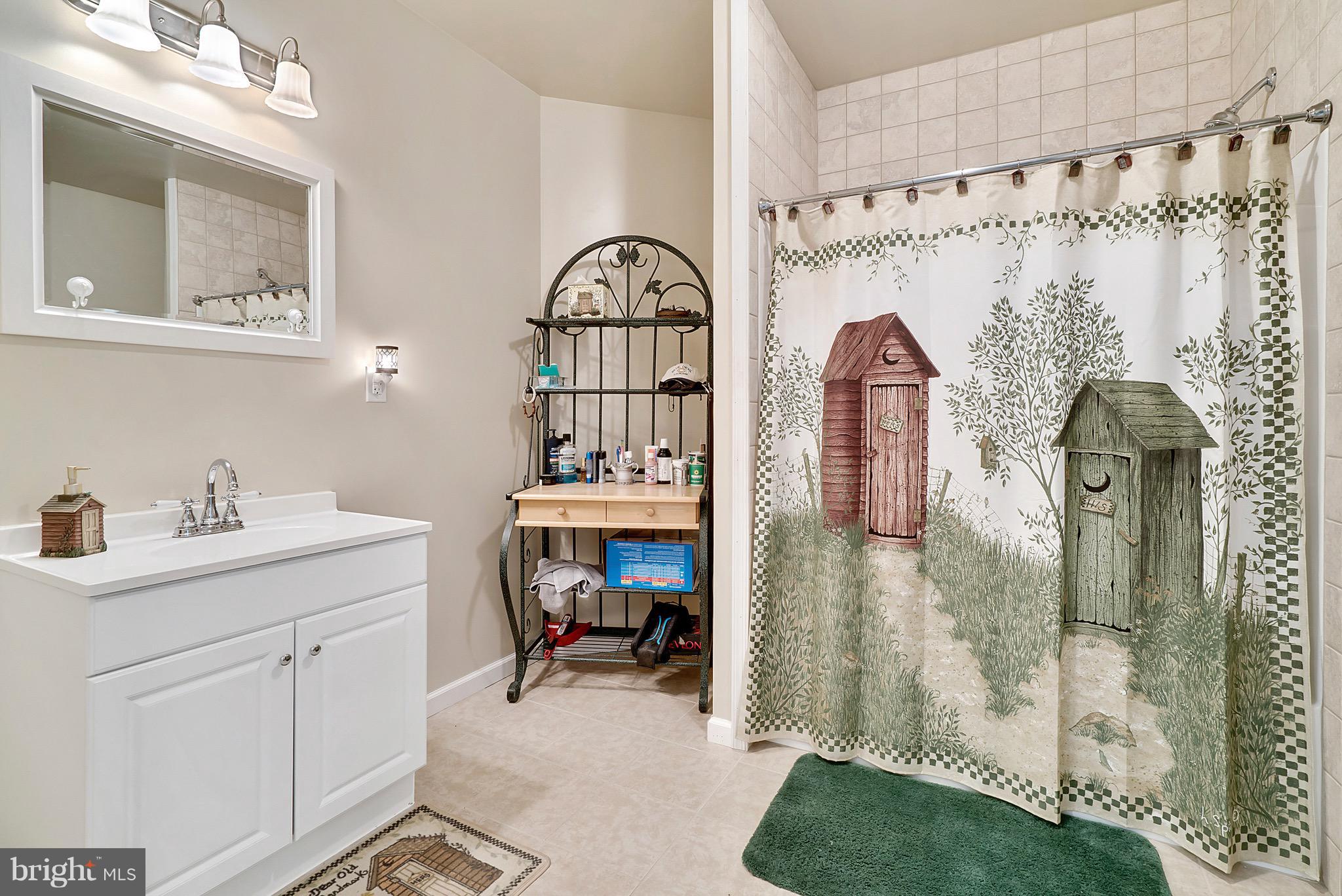 11178 Spring Hollow Lane Rixeyville, VA 22737 - Photo 28 of 30 Basement Full bath