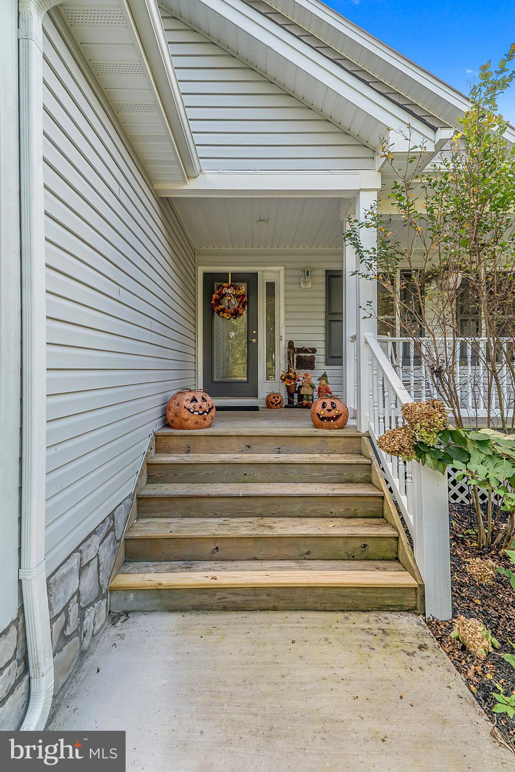 11178 Spring Hollow Lane Rixeyville, VA 22737 - Photo 8 of 30 Front door/steps