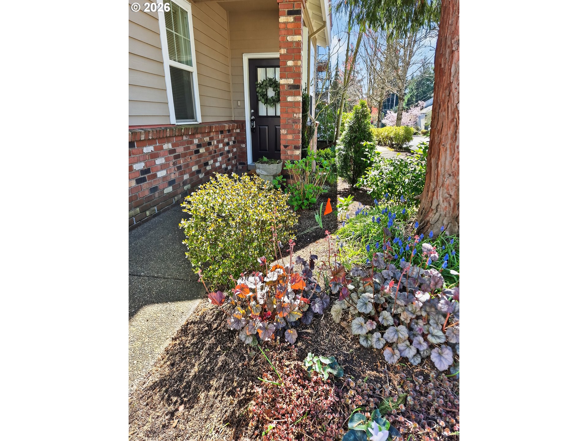 7856 Southwest 31st Avenue, Unit 7 Portland, OR 97219 - Photo 2 of 37
