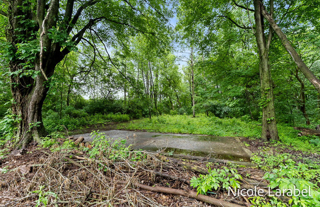 4696 16 Mile Road Northeast Cedar Springs, MI 49319 - Photo 24 of 30 4696 16 Mile NE-6LoRes
