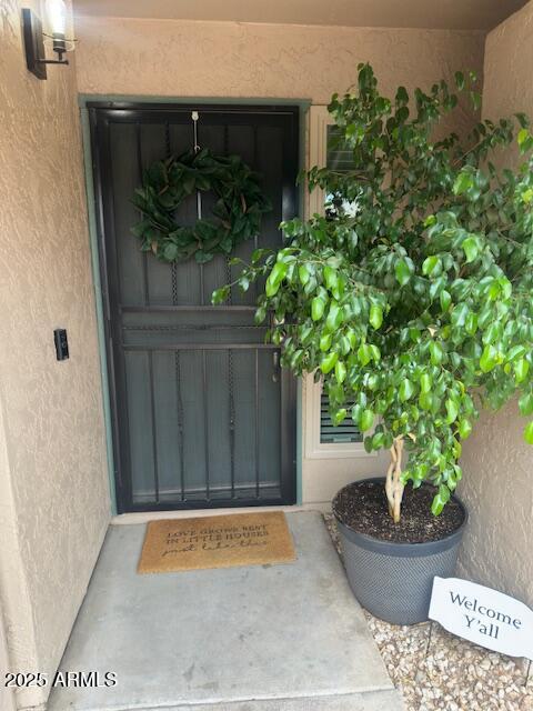 18235 North 45th Avenue Glendale, AZ 85308 - Photo 2 of 39 a view of a potted plant in front of a door