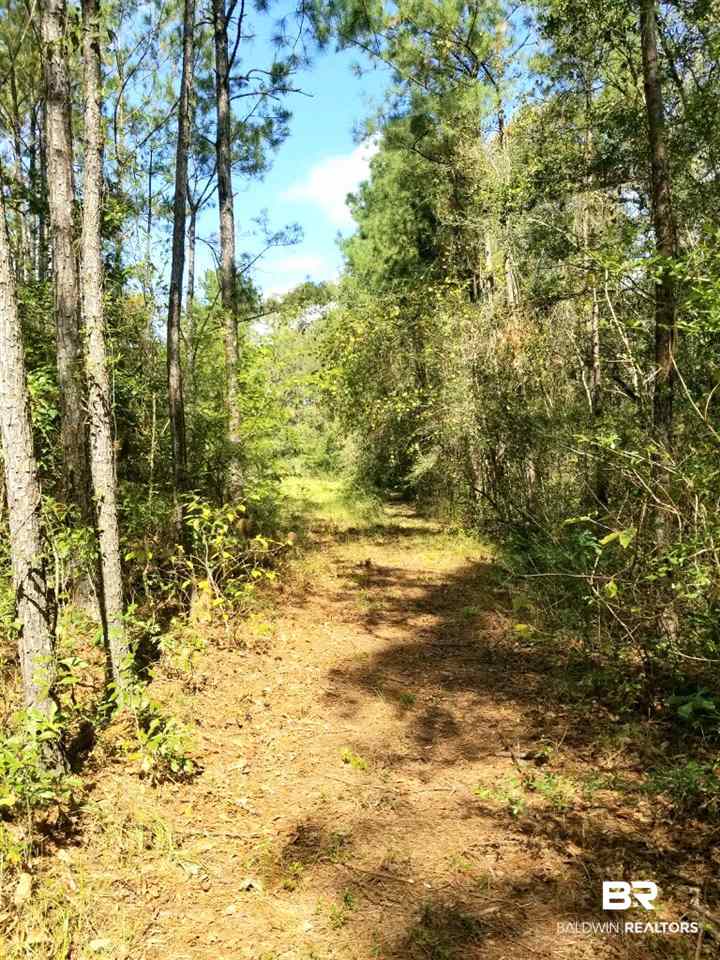 10685 John Little Road Bay Minette, AL 36507 - Photo 6 of 16