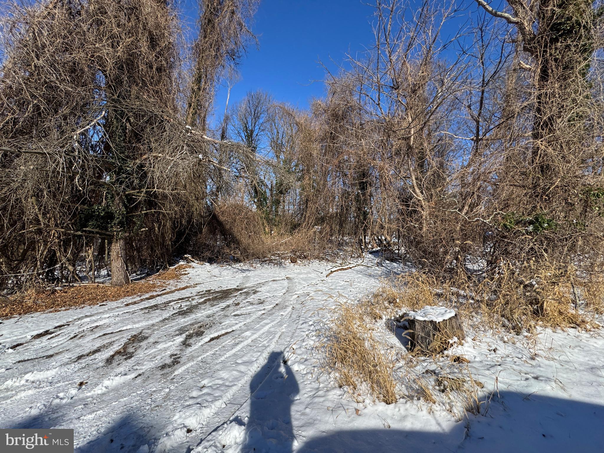 2 0.42 /- Acres Oak Avenue Cascade, MD 21719 - Photo 1 of 5 a view of a yard with snow on the road