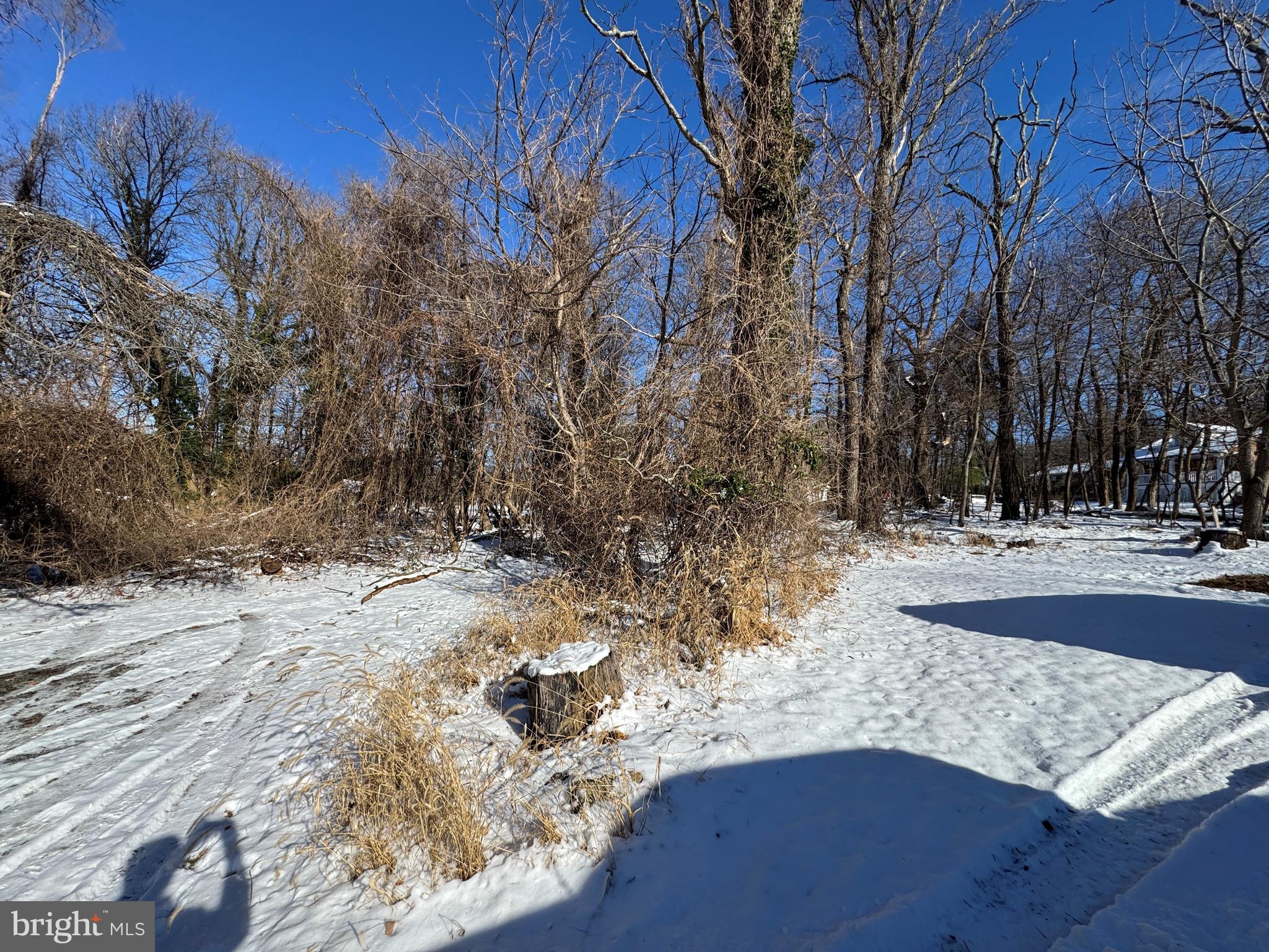 2 0.42 /- Acres Oak Avenue Cascade, MD 21719 - Photo 4 of 5 a view of yard covered with snow