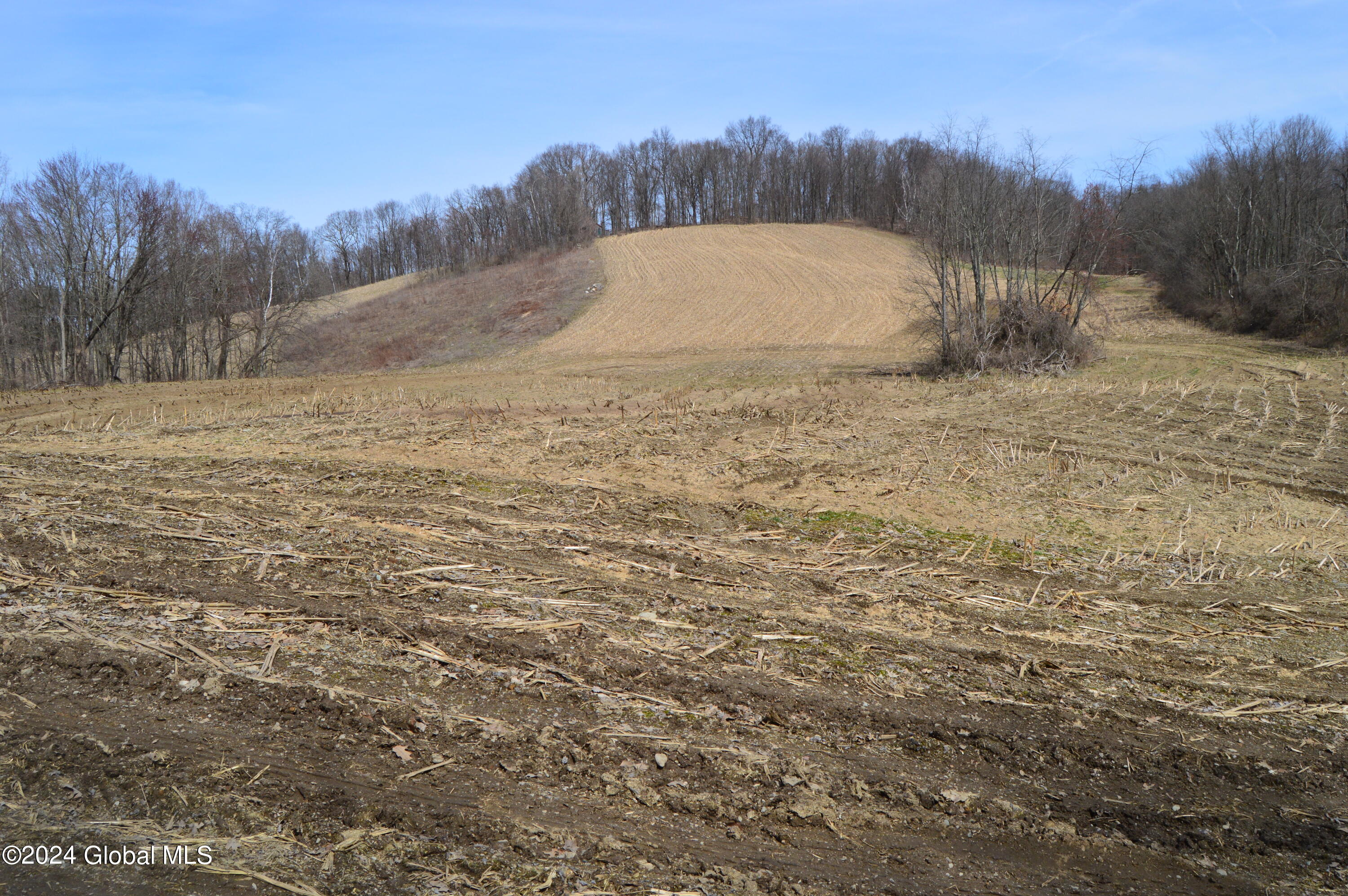 0 Saunders Road Argyle, NY 12809 - Photo 11 of 12 DSC_0023 - Copy