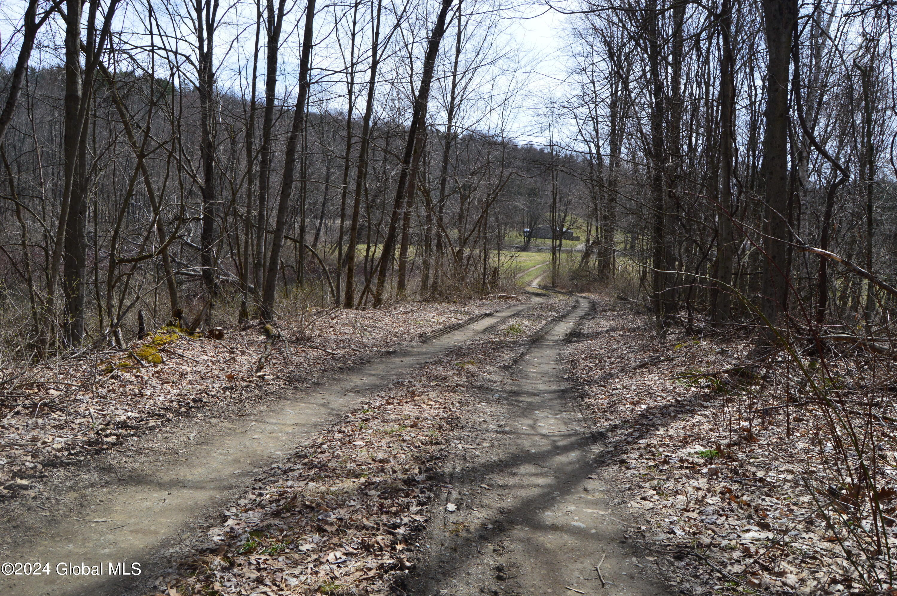 0 Saunders Road Argyle, NY 12809 - Photo 12 of 12 DSC_0024 - Copy