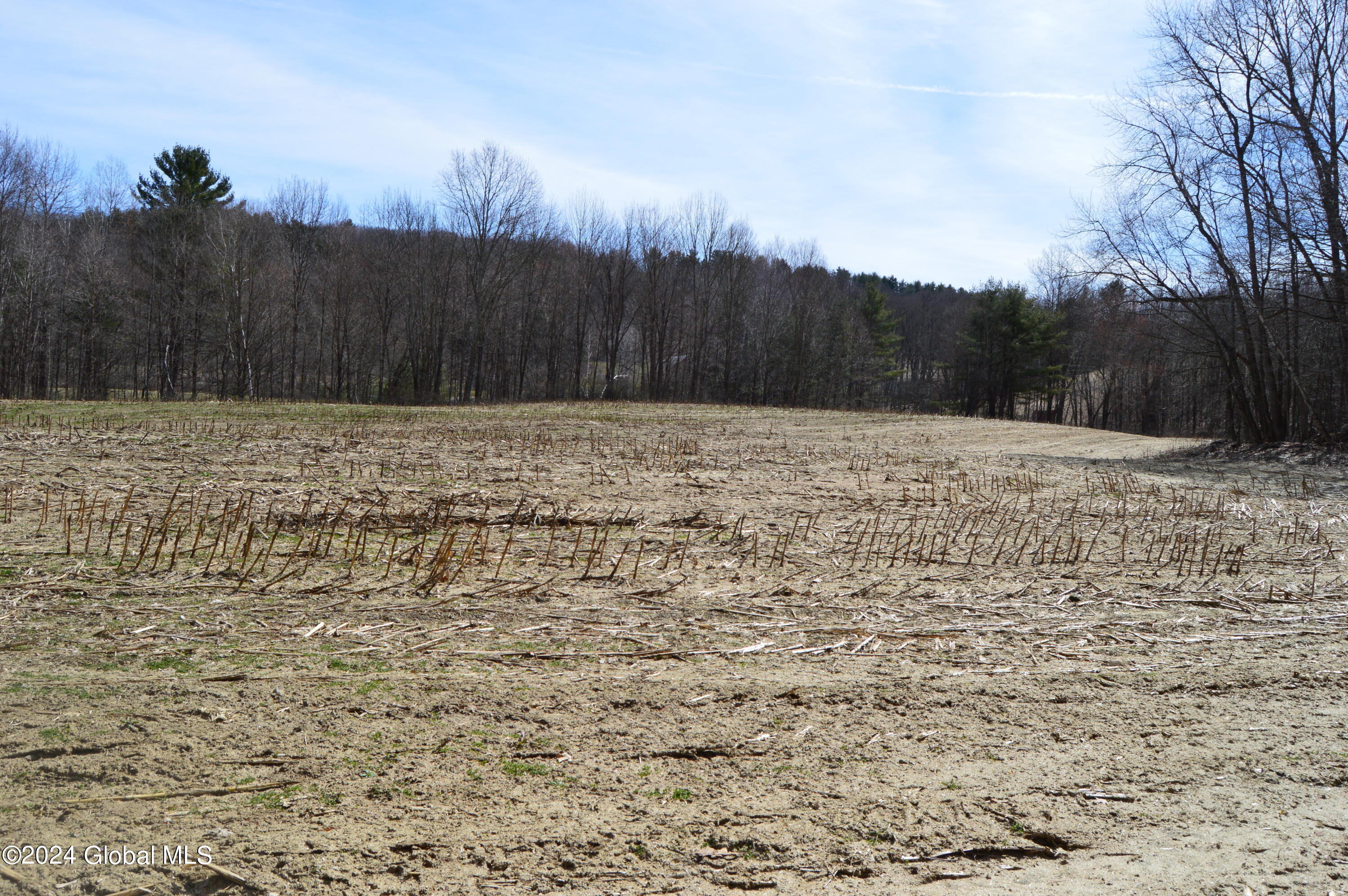 0 Saunders Road Argyle, NY 12809 - Photo 3 of 12 DSC_0006 - Copy