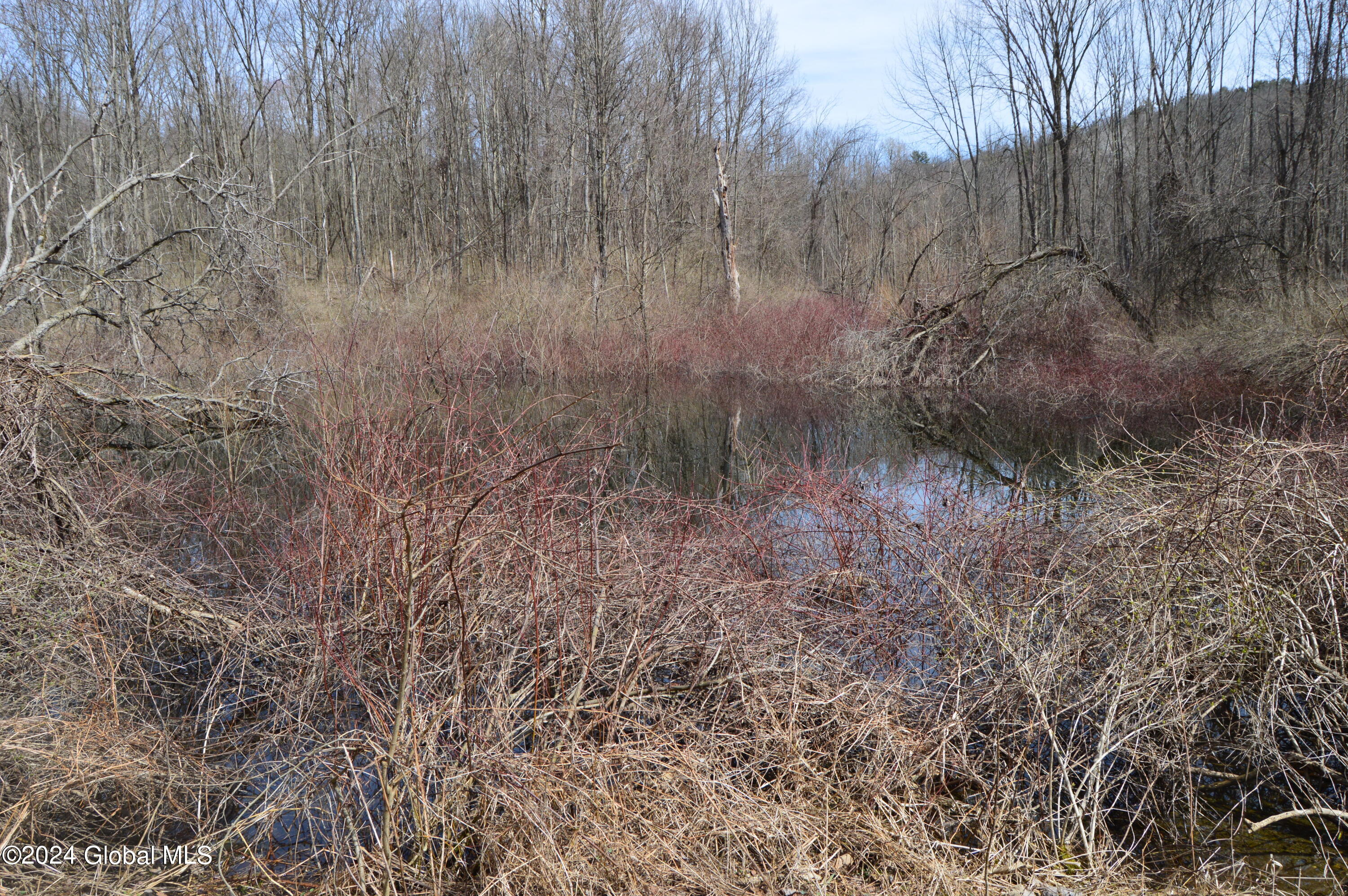 0 Saunders Road Argyle, NY 12809 - Photo 6 of 12 DSC_0018 - Copy