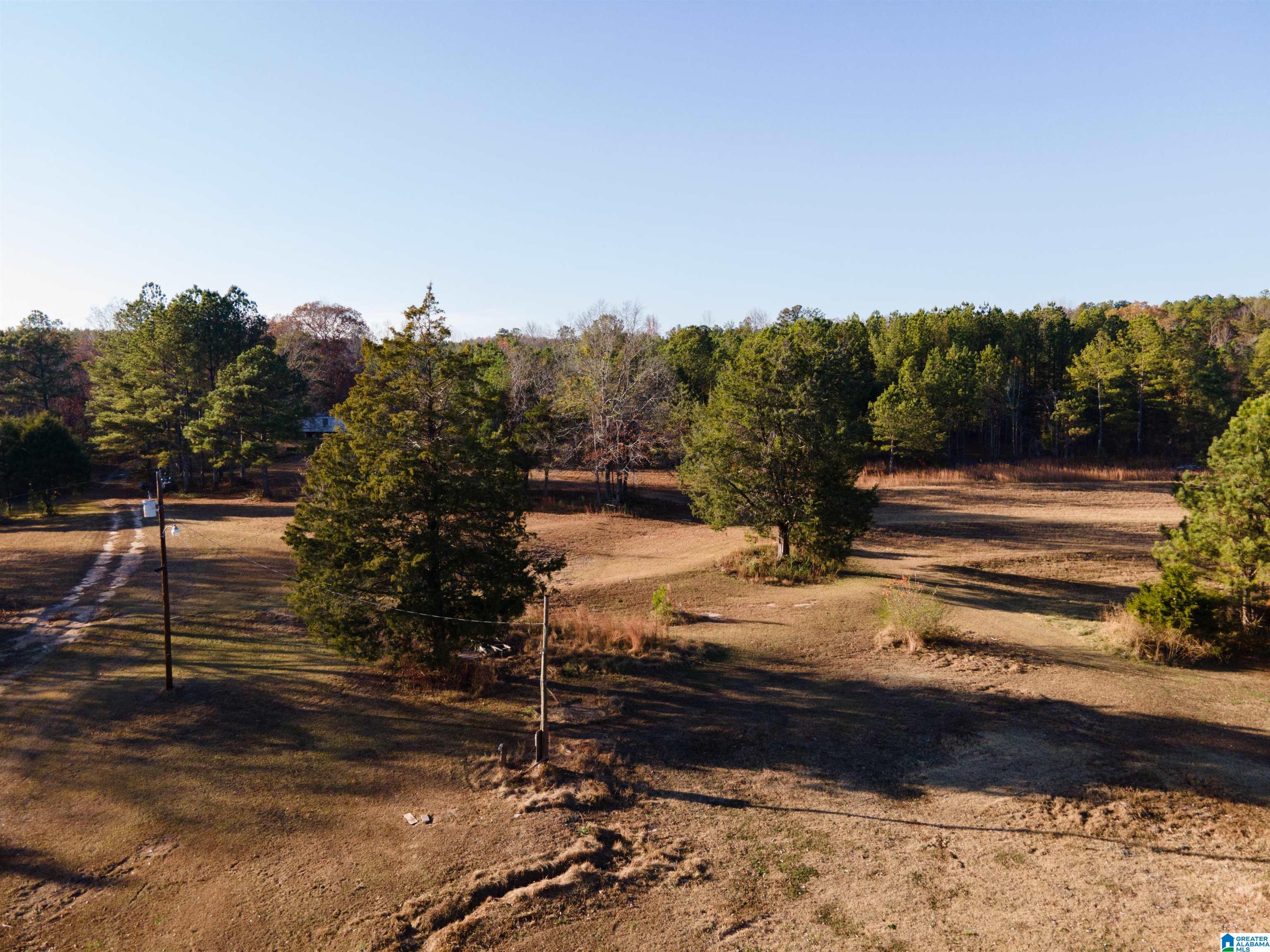 620 Chief Albert Road, Unit 1 Blountsville, AL 35031 - Photo 4 of 23