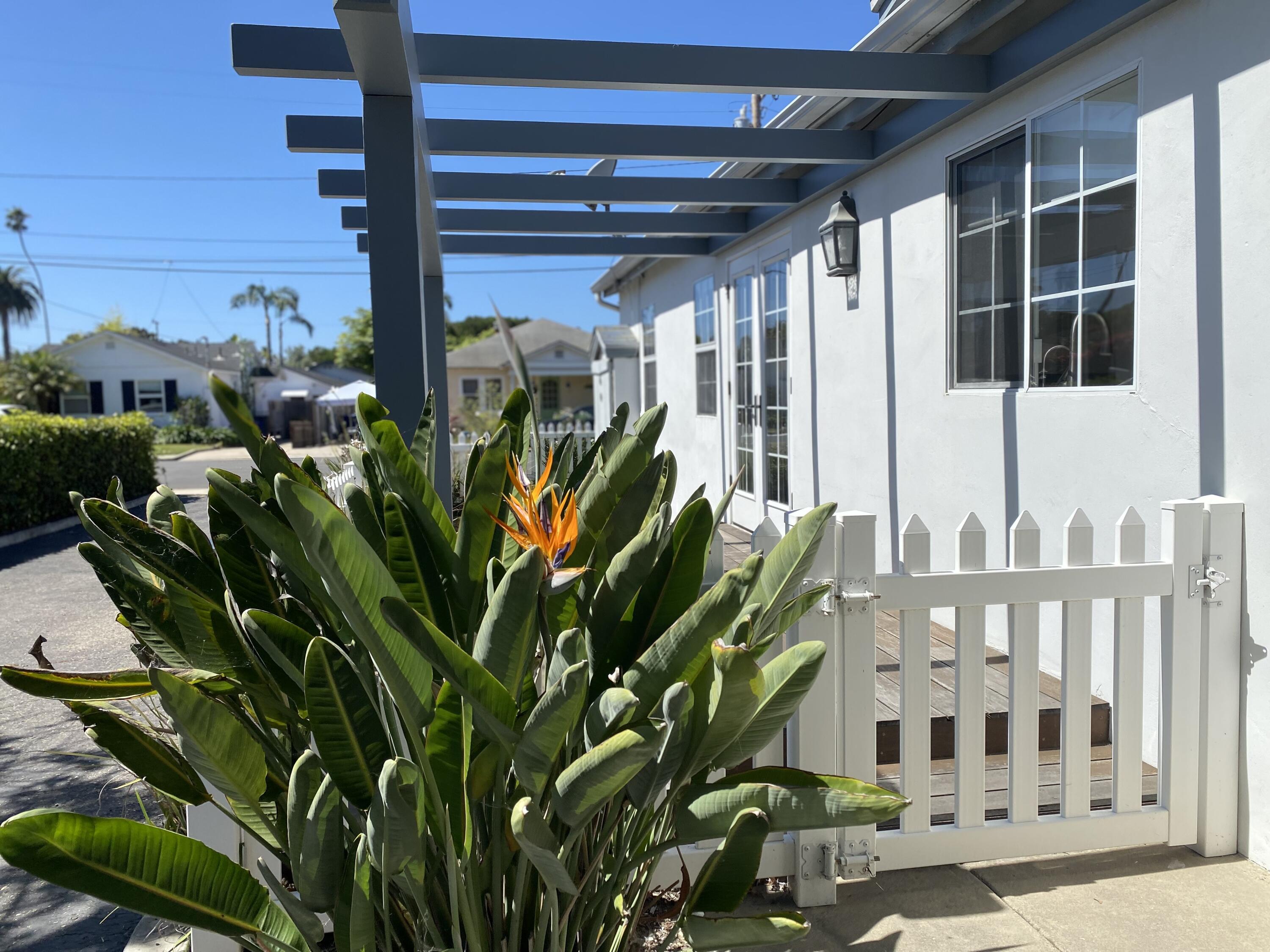 4854 8th Street Carpinteria, CA 93013 - Photo 13 of 22 a view of a building with a plant