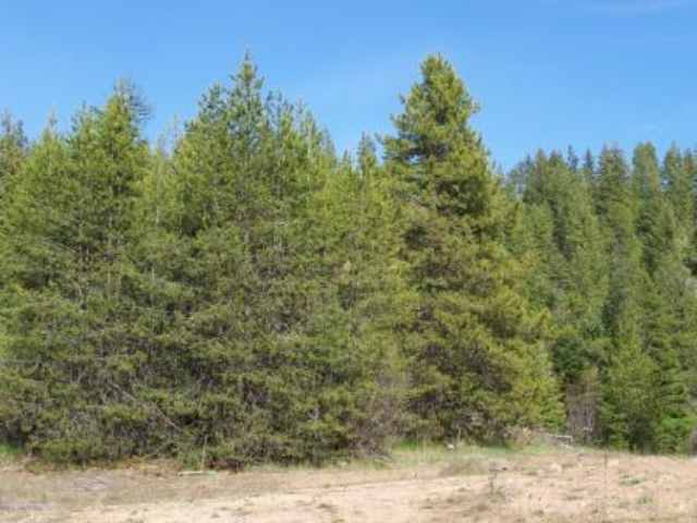 4254 Deer Creek Road Valley, WA 99181 - Photo 3 of 9