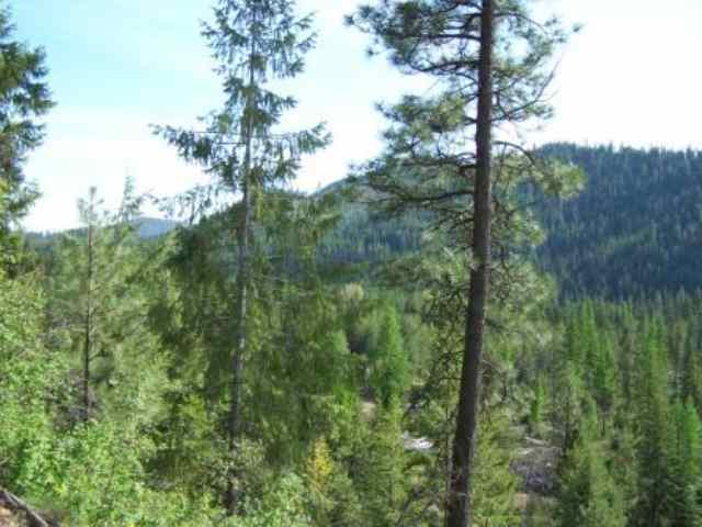 4254 Deer Creek Road Valley, WA 99181 - Photo 8 of 9