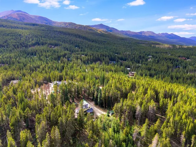 a view of a lush green hillside and a mountain