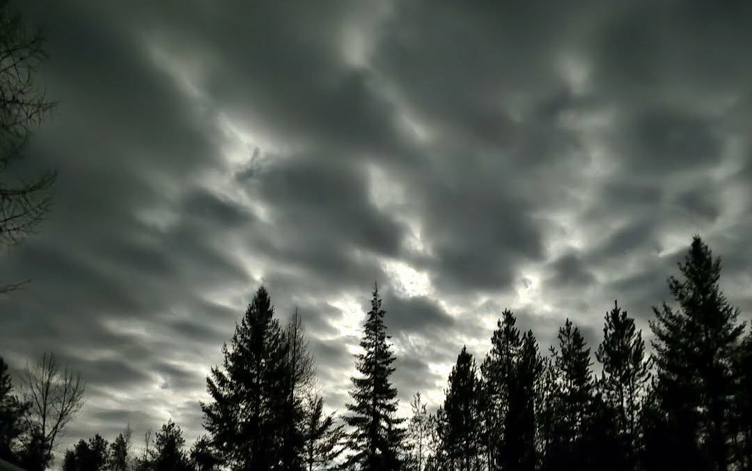 4151 H H Jepsen Road Springdale, WA 99173 - Photo 18 of 20