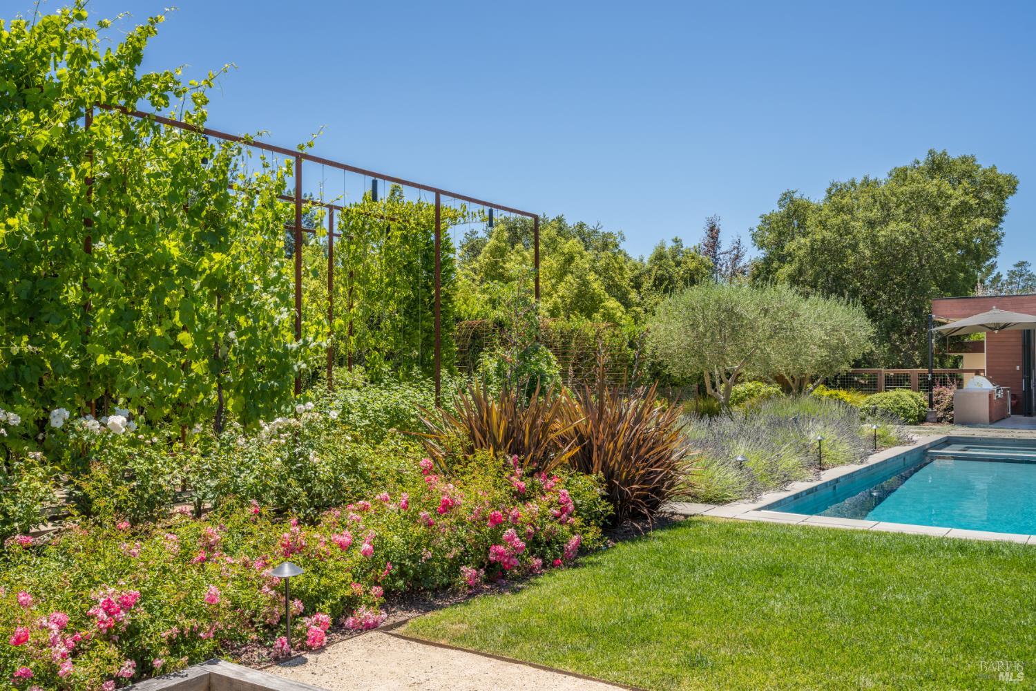 1265 Castle Road Sonoma, CA 95476 - Photo 9 of 22