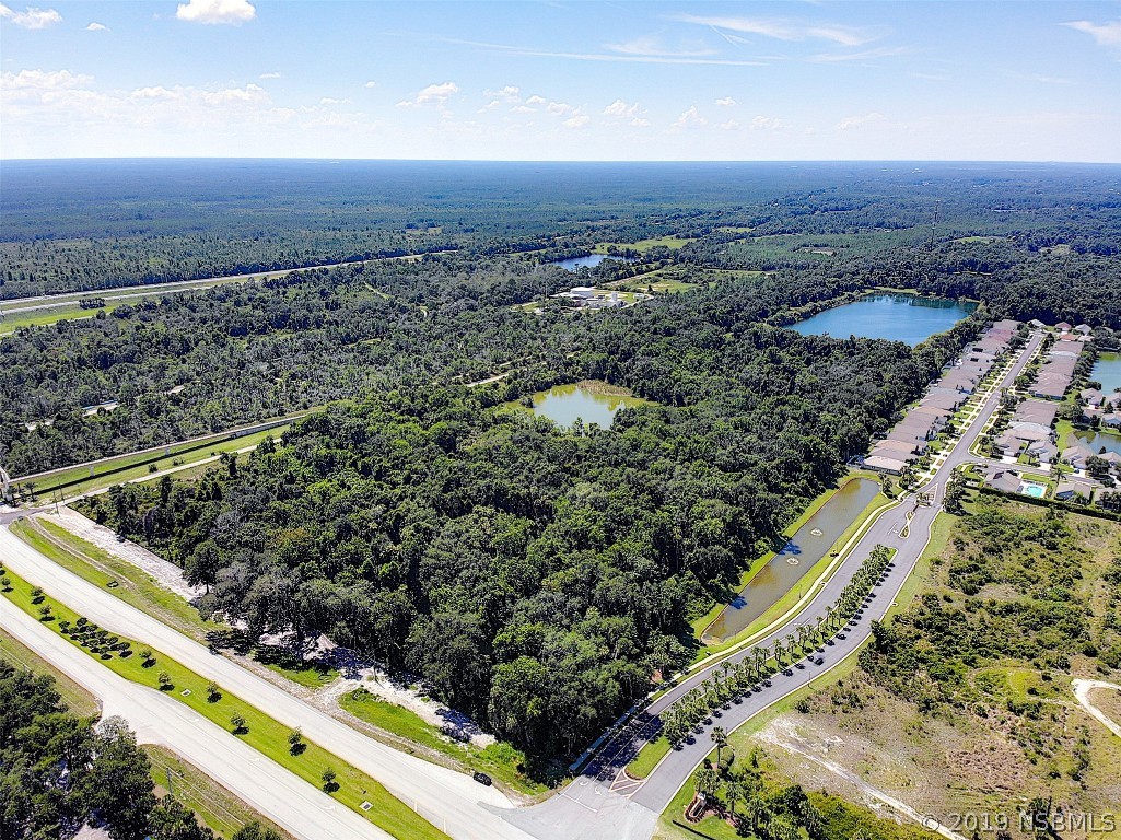1561 Cow Creek Road Edgewater, FL 32132 - Photo 10 of 16 Gallery Image 10