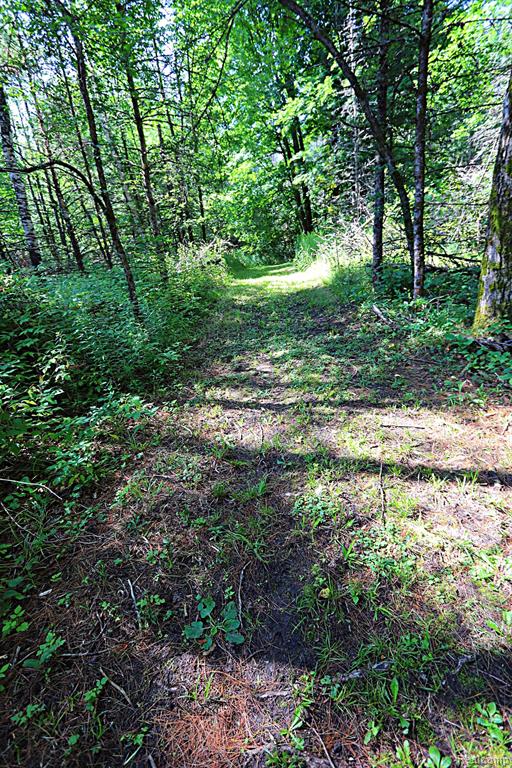 8331 Wissmiller Road South Branch, MI 48761 - Photo 51 of 59 Gallery Image 51