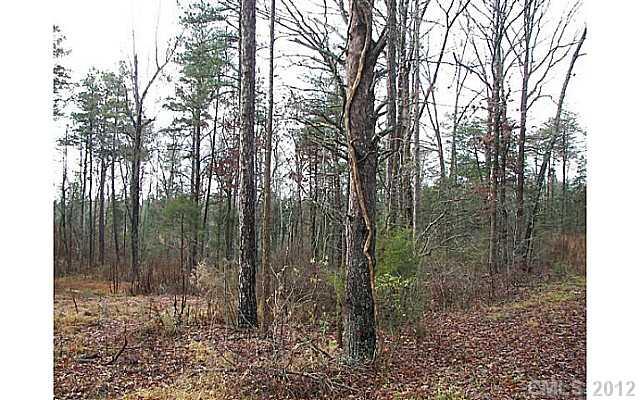 3.010 Turkey Creek Ridge Road York, SC 29745 - Photo 3 of 9 a view of a forest