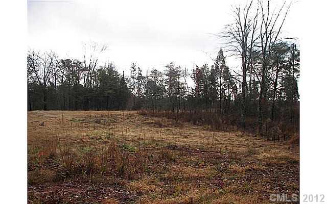 3.010 Turkey Creek Ridge Road York, SC 29745 - Photo 4 of 9 a view of outdoor space and yard
