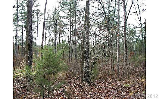 3.010 Turkey Creek Ridge Road York, SC 29745 - Photo 5 of 9 a view of a garden with trees