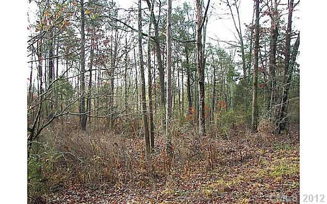 3.010 Turkey Creek Ridge Road York, SC 29745 - Photo 6 of 9 a view of a yard with trees