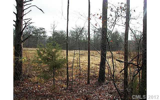 3.010 Turkey Creek Ridge Road York, SC 29745 - Photo 7 of 9 a view of outdoor space and garden