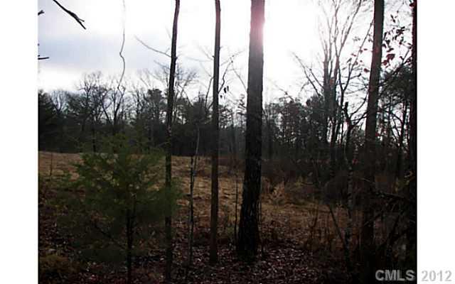3.010 Turkey Creek Ridge Road York, SC 29745 - Photo 8 of 9 a view of outdoor space and garden