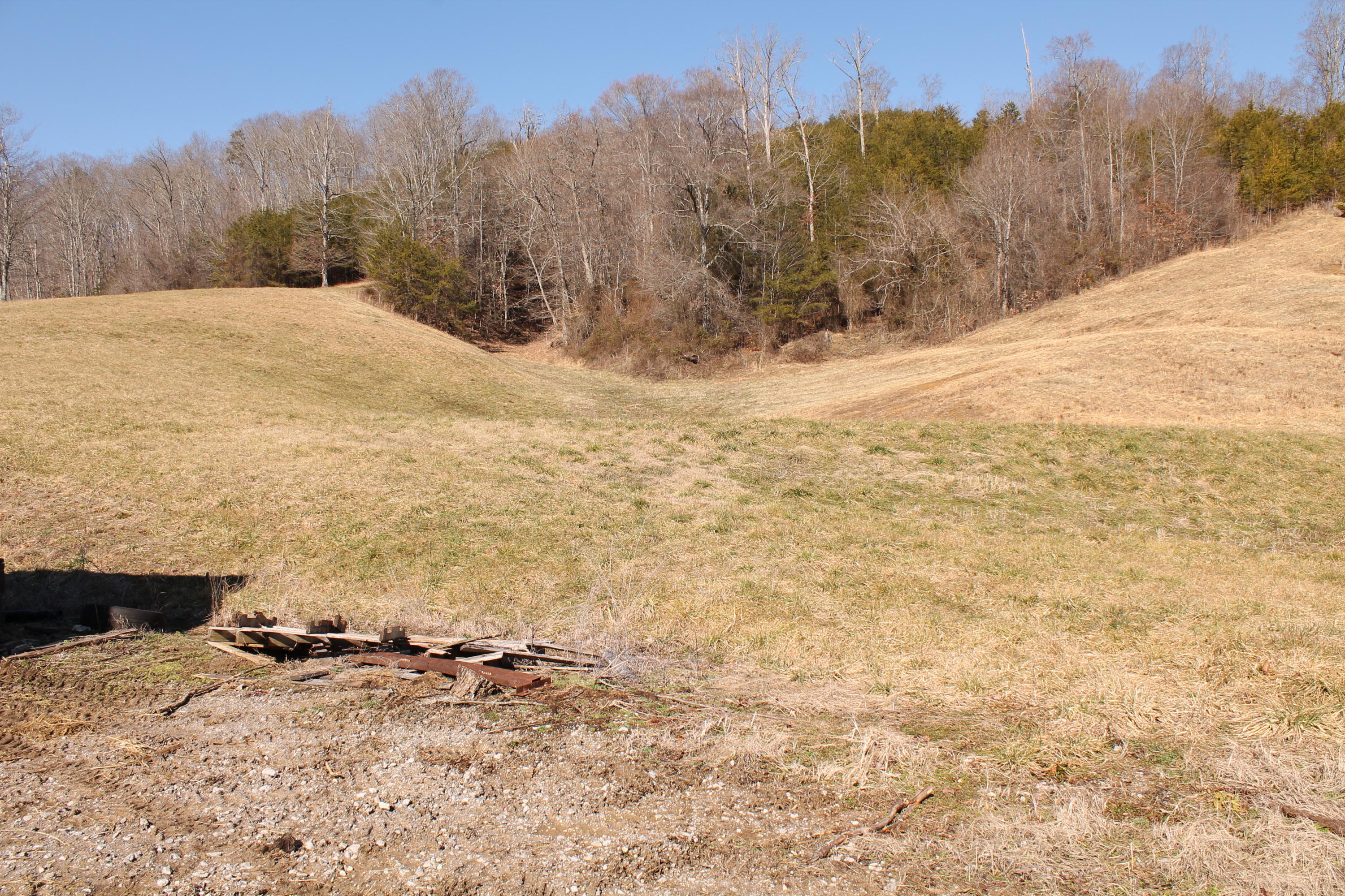 965 Bull Run Road Luttrell, TN 37779 - Photo 3 of 6 IMG_2937