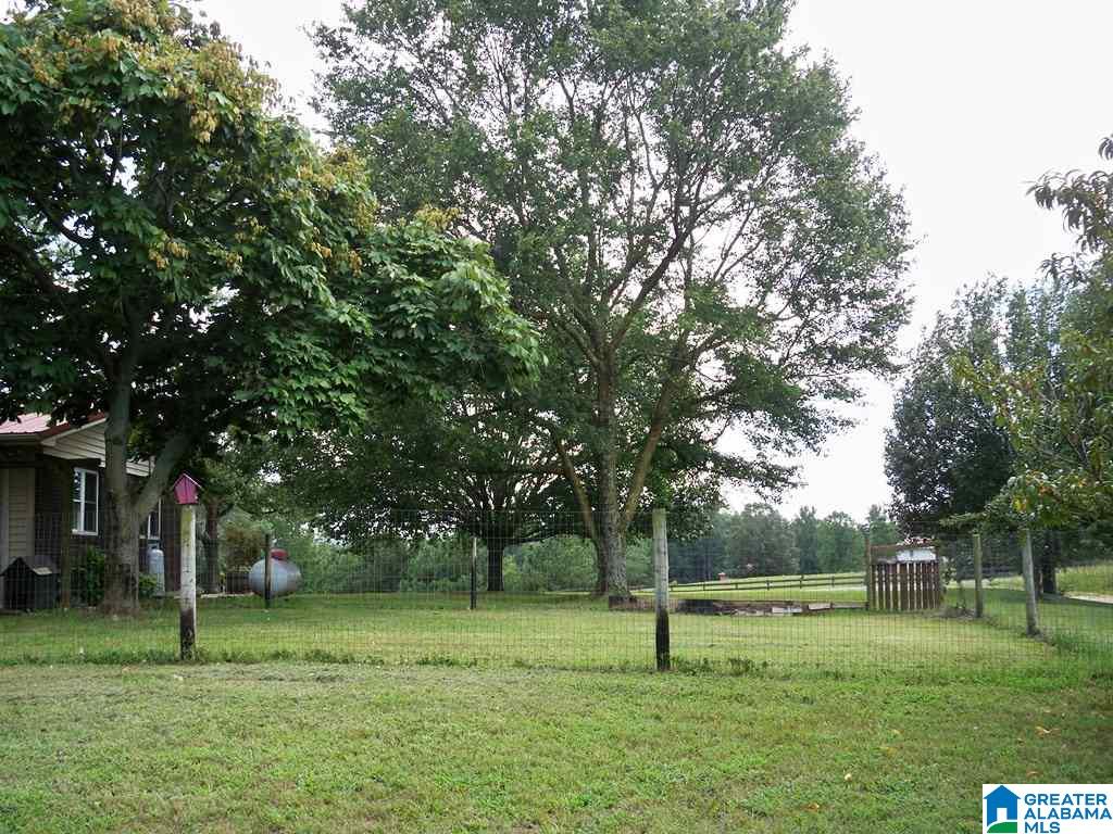 1511 Burgett Road Altoona, AL 35952 - Photo 24 of 38 Gallery Image 24