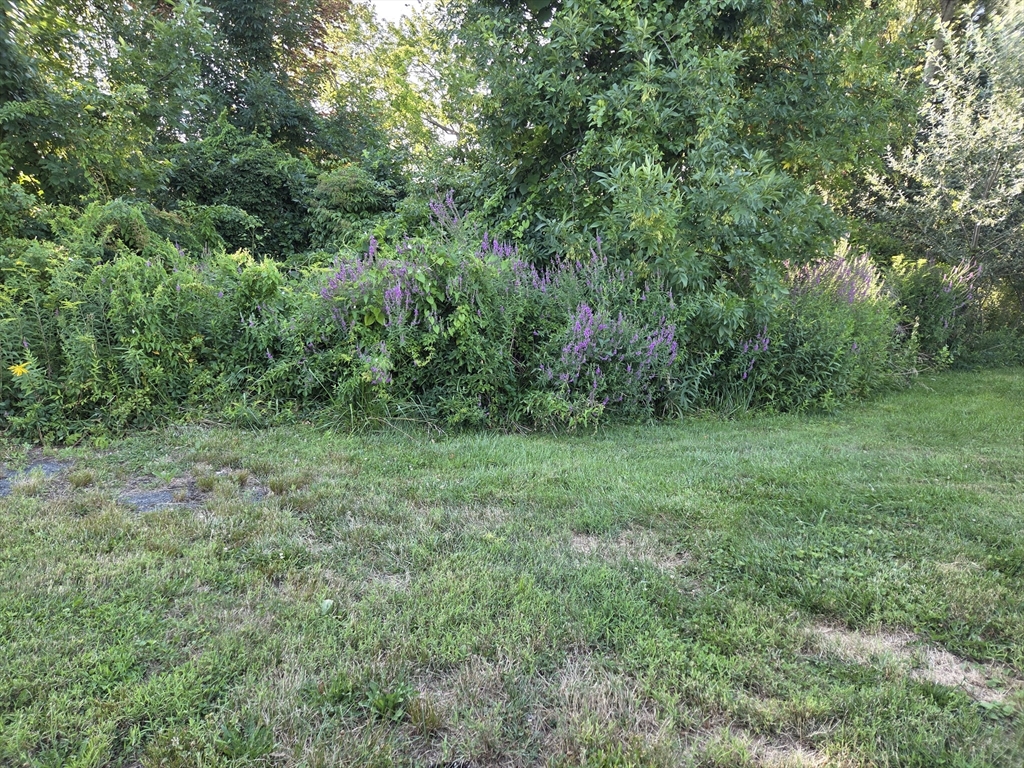 0 River Road East Hudson, MA 01749 - Photo 1 of 1 Gallery Image 1