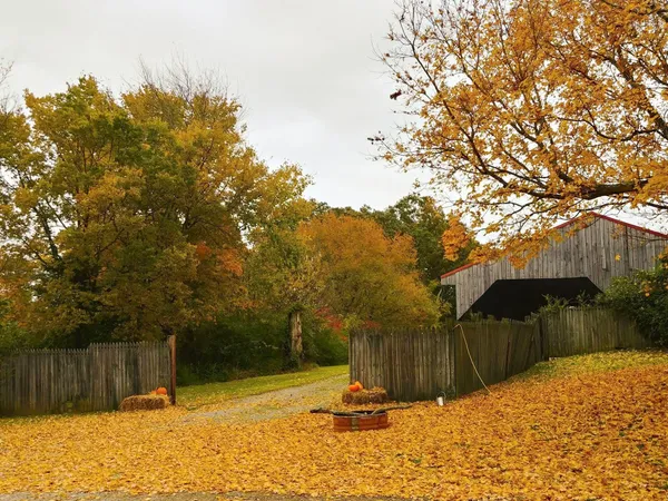 a view of a backyard of the house