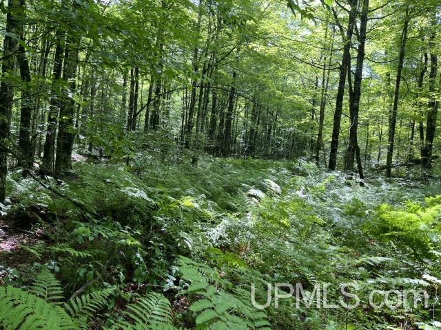 40-acres New DNR Road Crystal Falls, MI 49920 - Photo 34 of 46