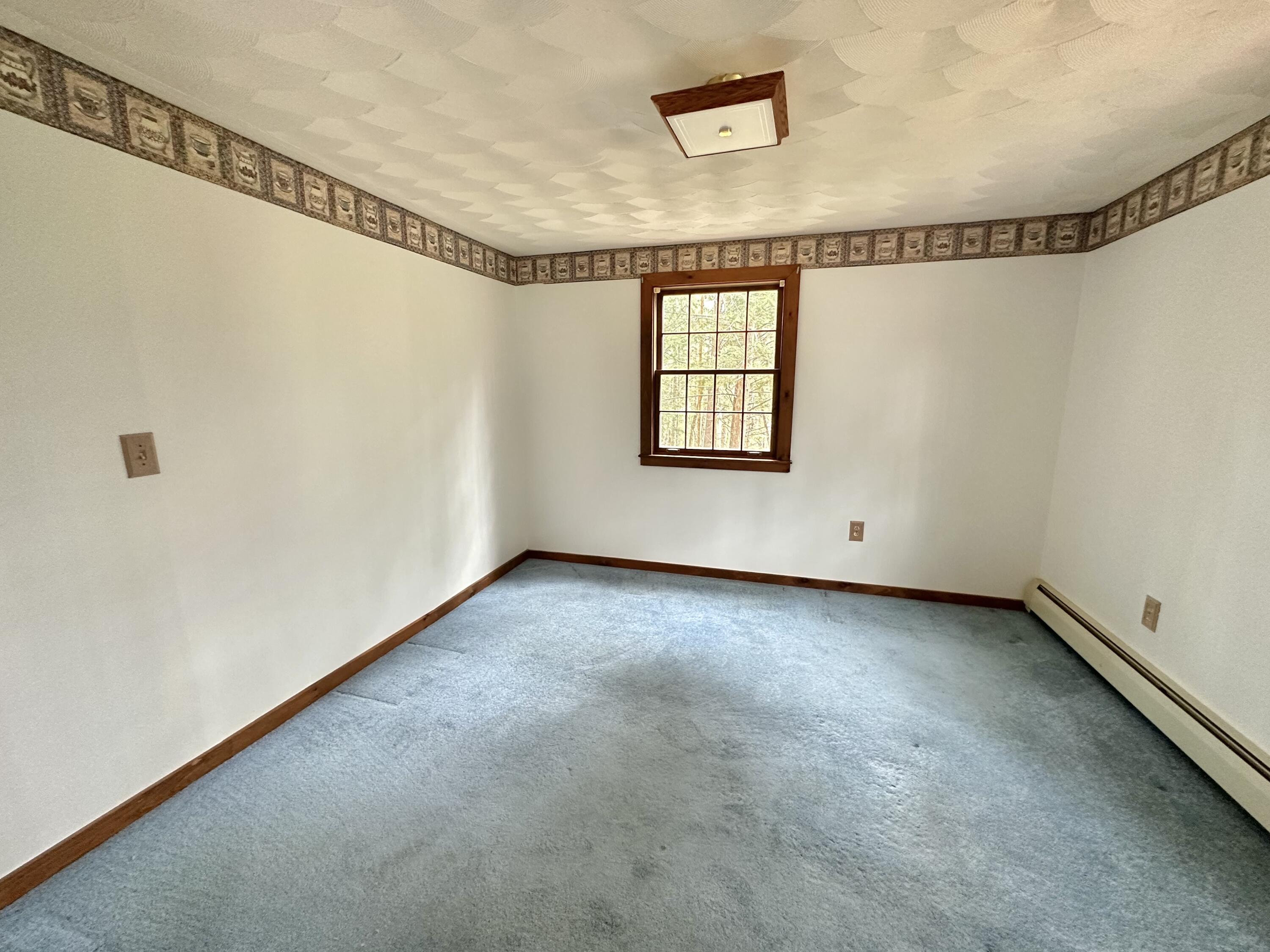 15 Eastbrook Road Franklin, ME 04634 - Photo 12 of 38 IMG_9950