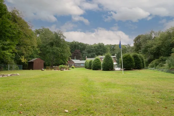 a backyard of a house with plants and large trees
