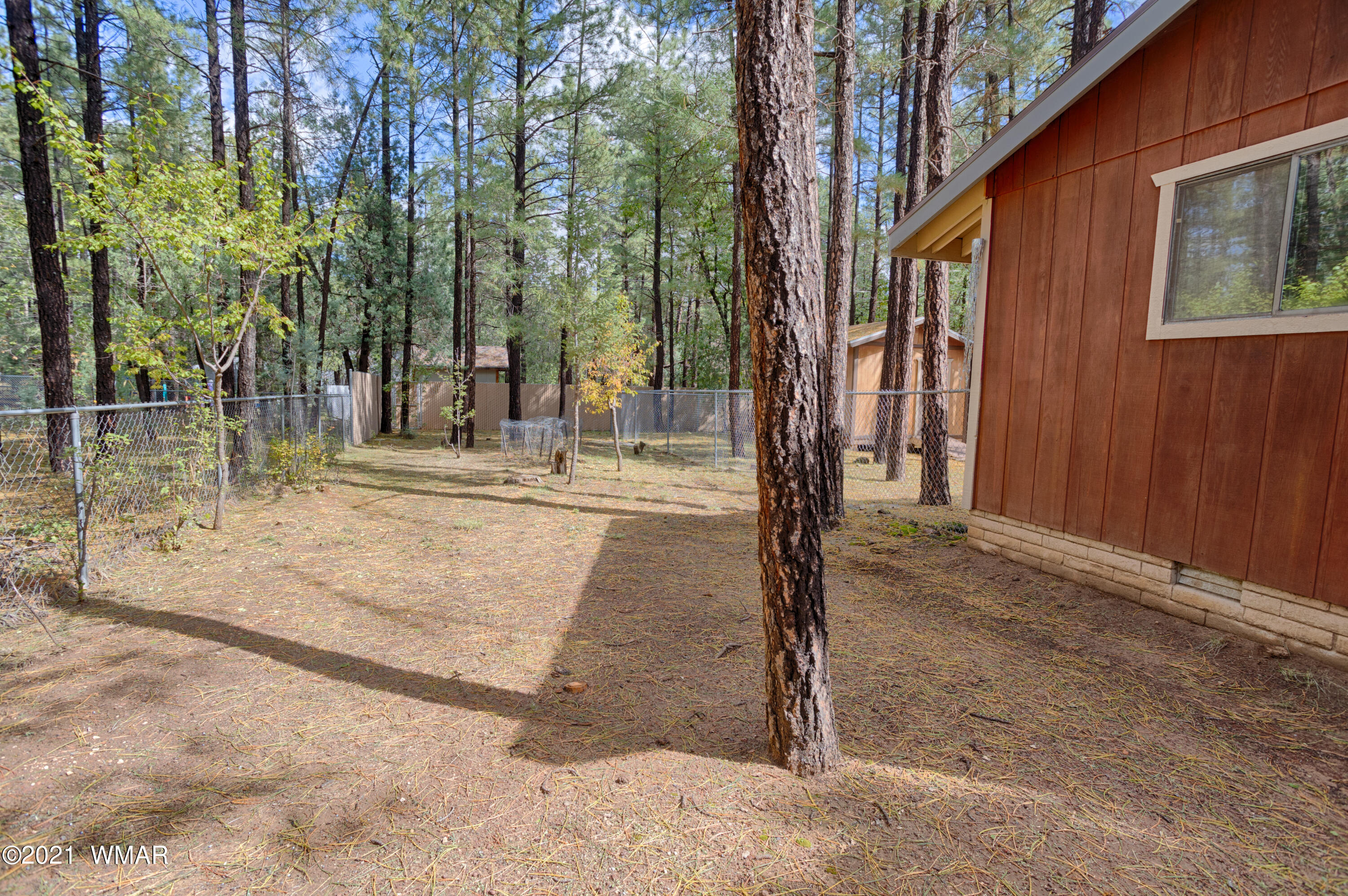 2716 West Rim Road Lakeside, AZ 85929 - Photo 8 of 31
