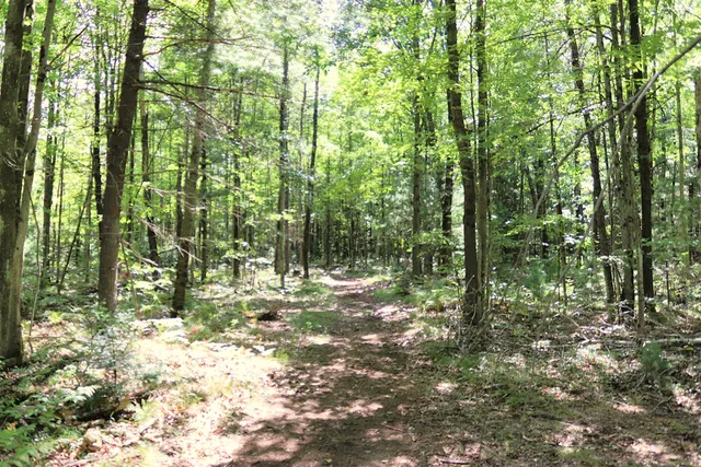 $239,900 | 10757 Cedar Road, Lake, MI 48632