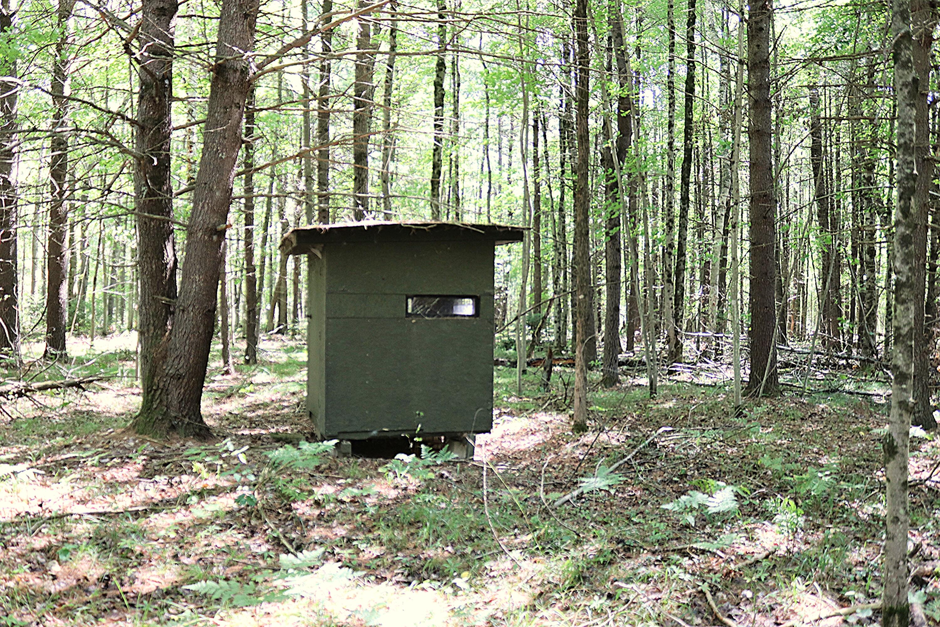 10757 Cedar Road Lake, MI 48632 - Photo 48 of 58 IMG_5564