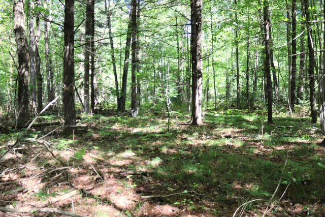 $239,900 | 10757 Cedar Road, Lake, MI 48632