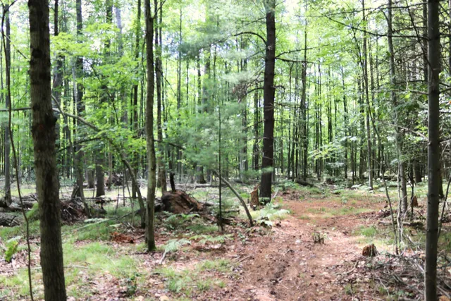 $239,900 | 10757 Cedar Road, Lake, MI 48632