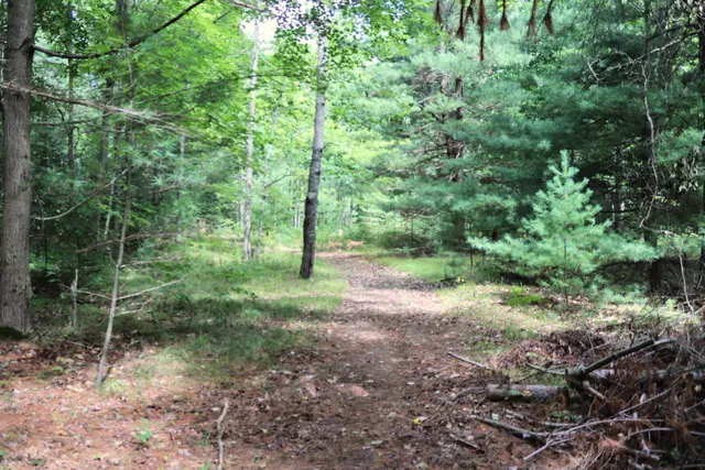 $239,900 | 10757 Cedar Road, Lake, MI 48632