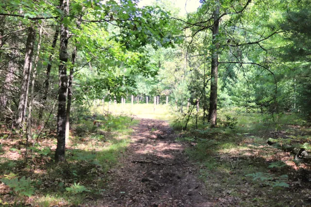 $239,900 | 10757 Cedar Road, Lake, MI 48632