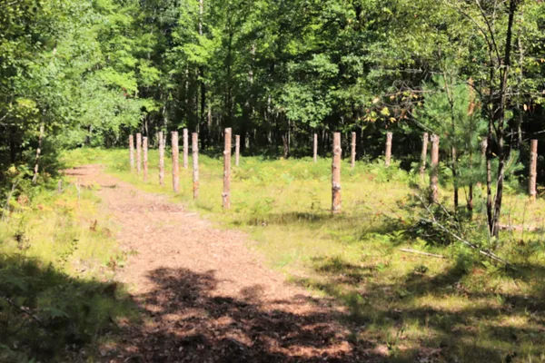 $239,900 | 10757 Cedar Road, Lake, MI 48632