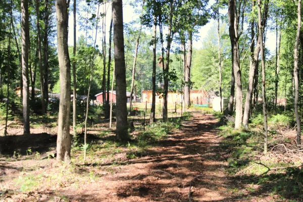 $239,900 | 10757 Cedar Road, Lake, MI 48632