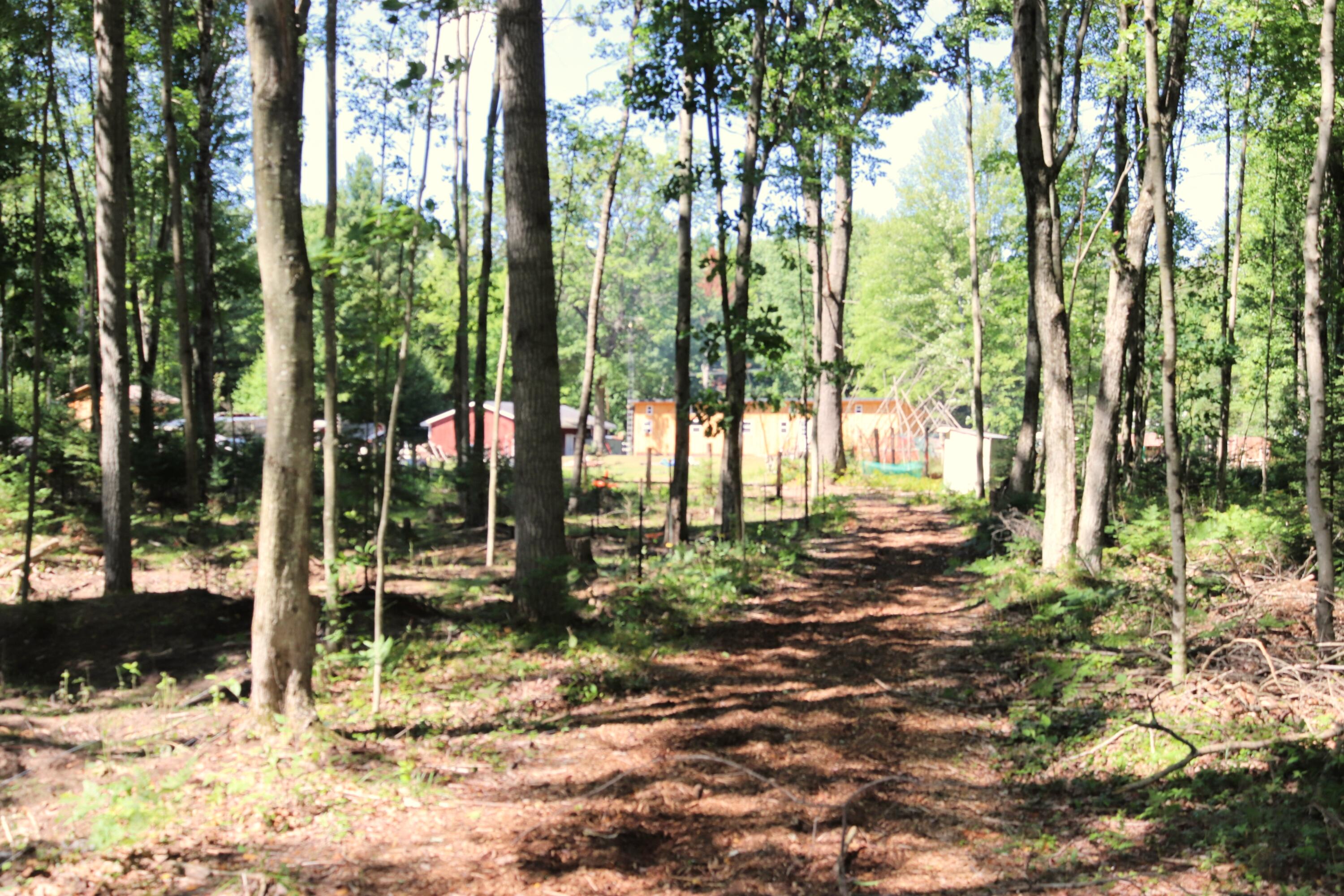 10757 Cedar Road Lake, MI 48632 - Photo 55 of 58 IMG_5588