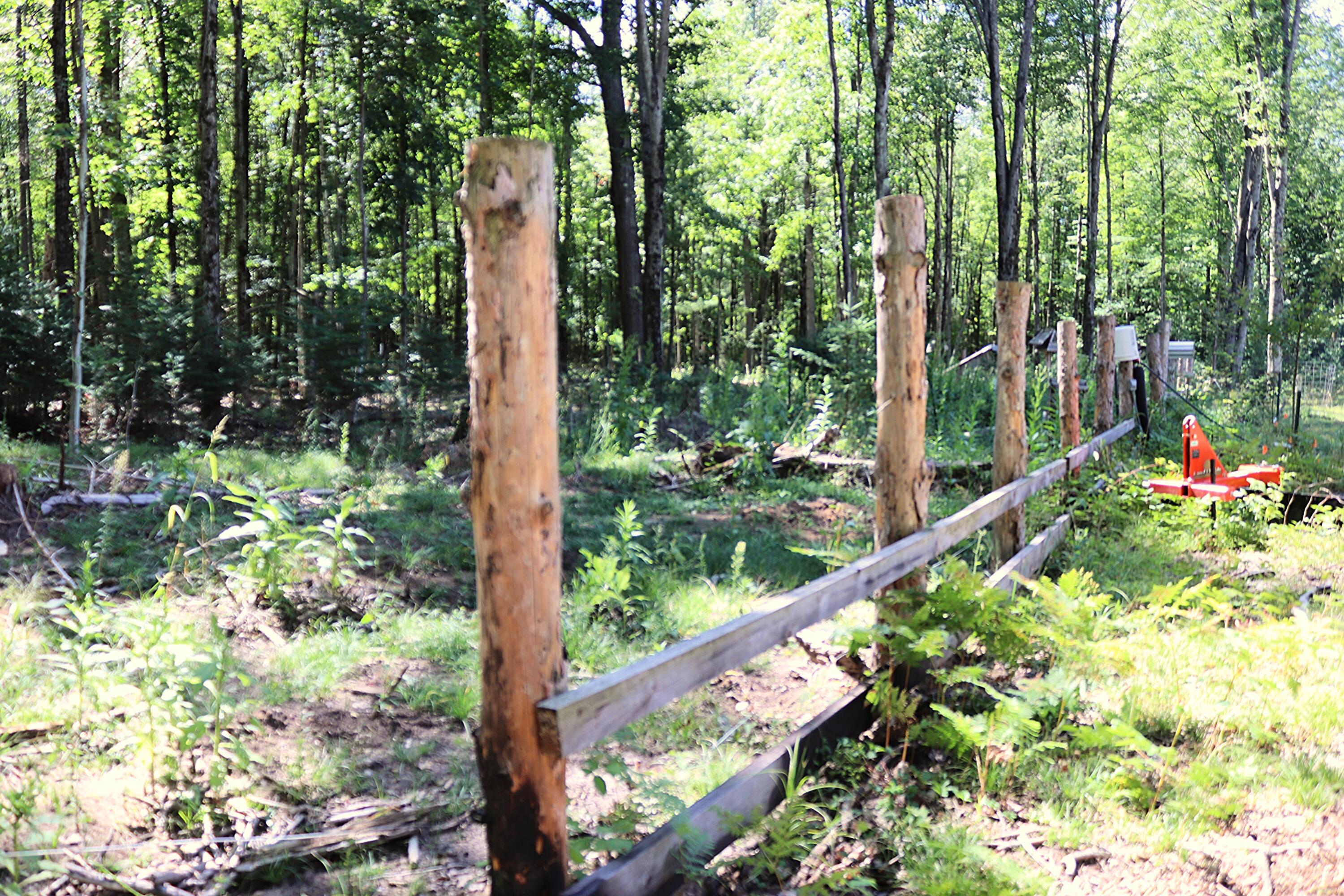 10757 Cedar Road Lake, MI 48632 - Photo 56 of 58 IMG_5592