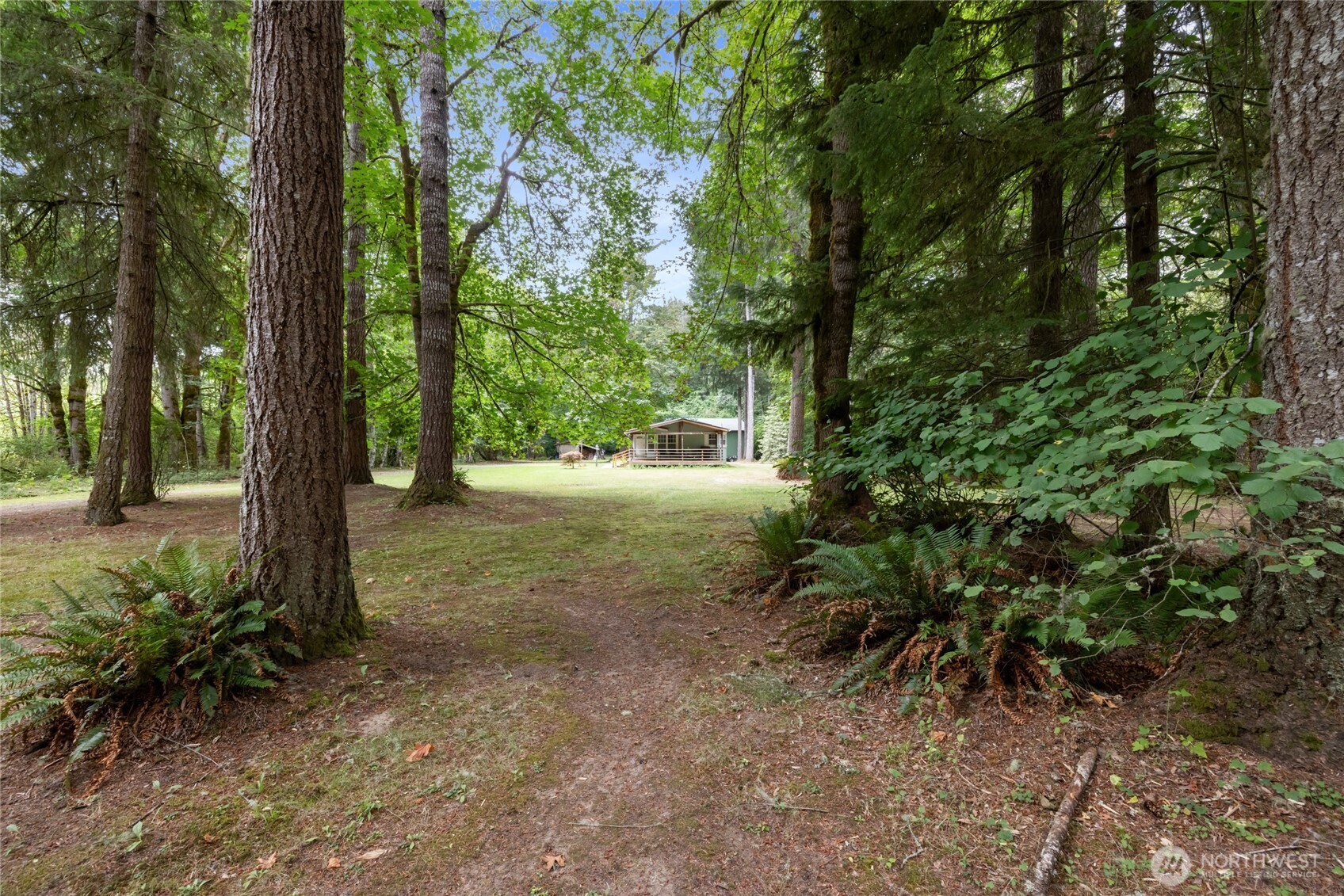 2024 Spencer Road Salkum, WA 98582 - Photo 3 of 40 Gallery Image 3